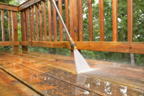 Best Affordable Power Washing  in Walnut Hill, TN